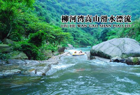 逗小猴开心系列197